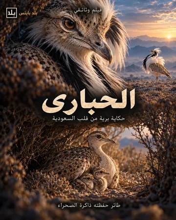 بوستر الحبارى